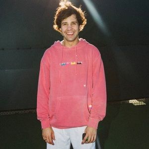 David Dobrik David’s Vlog Pink Hoodie
